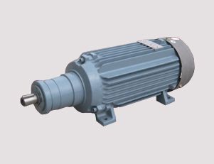 南陽電機廠的高壓電機定期維護的內容是什么呢？