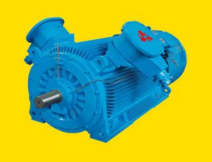 南陽核級(jí)電機(jī) 鑒定樣機(jī)