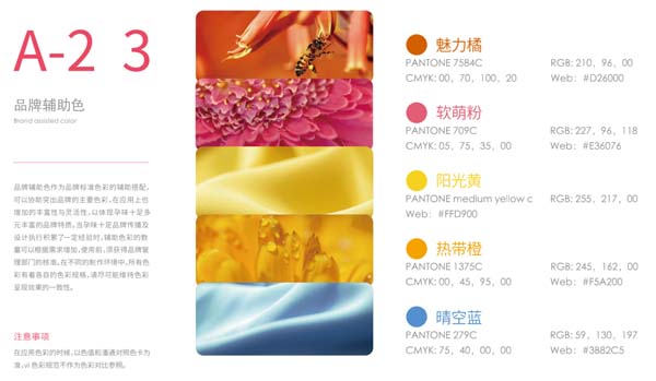 歐賽斯超級(jí)品牌引擎&reg; 新冠軍商業(yè)實(shí)戰(zhàn)案例：孕味食足